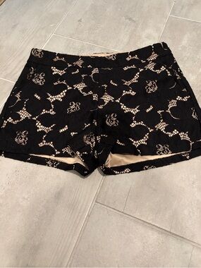 Express Black Lace High-Waist Shorts with Nude Lining